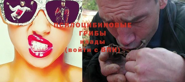 ешки Алексеевка