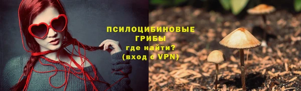 ешки Алексеевка