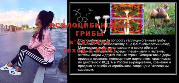 герыч Алексин