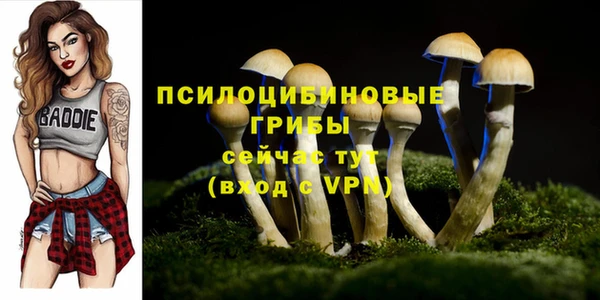 герыч Алексин
